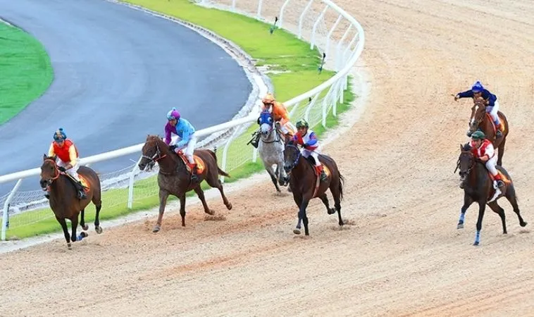 Cần tìm hiểu kỹ lưỡng về ngựa chiến trước khi tham gia cá cược đua ngựa 8KBet